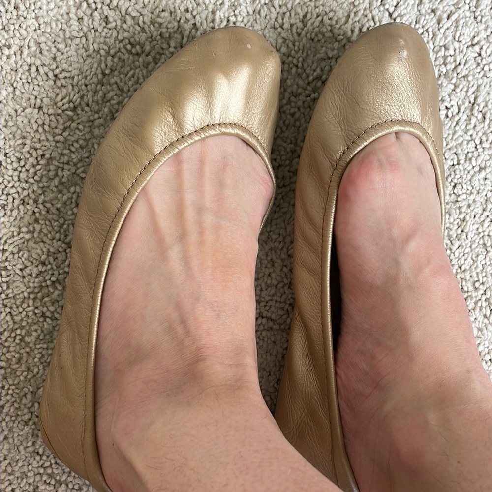 Tieks shoes
